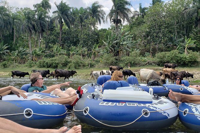 Lazy River Tubing Cabarete, Dominican Republic - Final Thoughts: Is It Worth It?