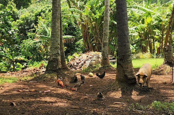 'Lazy Sunday' Sunday Bicycle Tour - FAQ