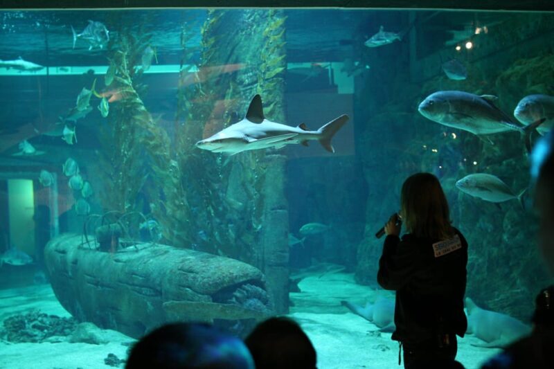 Le Grau-du-Roi: Seaquarium Skip-the-Line Entrance Ticket - Customer Reviews and Ratings