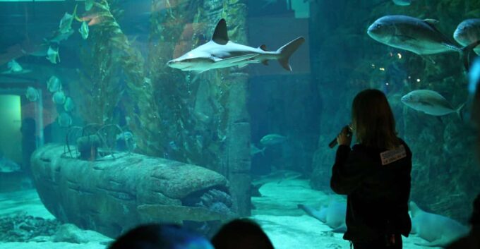 Le Grau-du-Roi: Seaquarium Skip-the-Line Entrance Ticket - Frequently Asked Questions