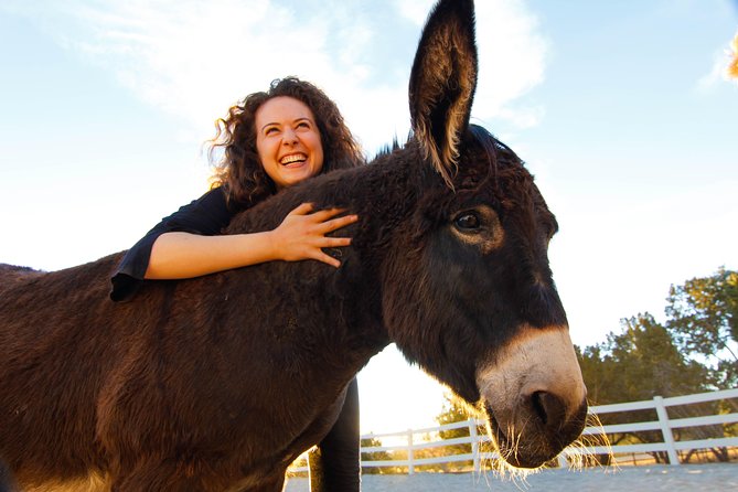 Leadership & Mindfulness Retreat With Horses - Individual & Group - Facilities and Tour Information