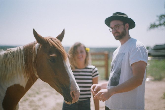 Leadership & Mindfulness Retreat With Horses - Individual & Group - Equine-Facilitated Learning Exercises