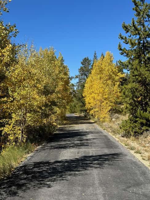 Leadville: 2-Hour Guided E-Bike Tour - Key Points