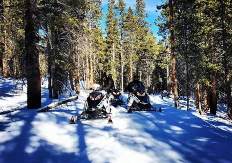 Leadville: Guided Snowmobile High Adventure Tour - Key Points
