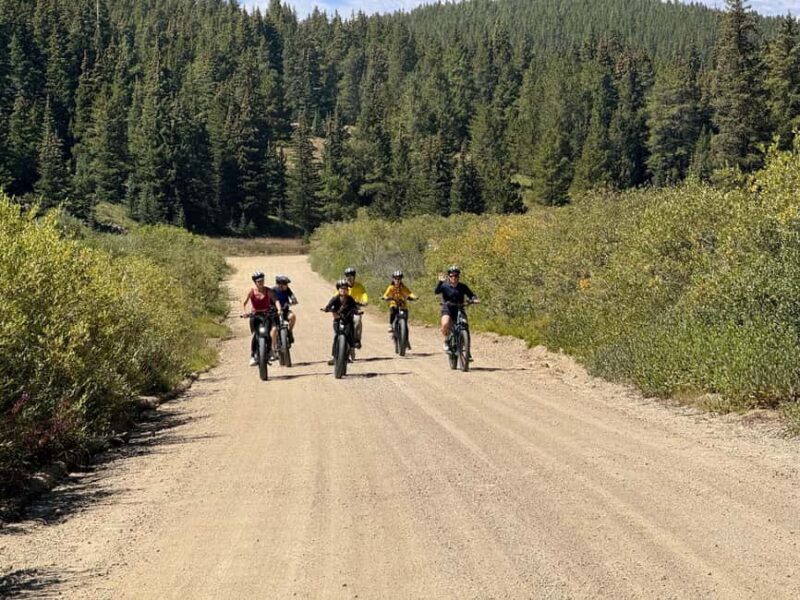 Leadville: Route of the Silver Kings Guided E-Bike Tour - Key Points