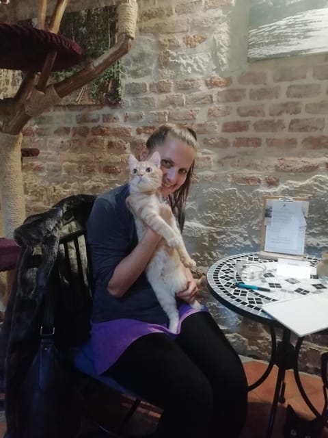 Learn Czech With Cats - Class Structure