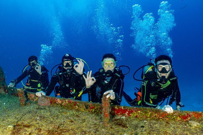 Learn diving with the Open Water course PADI ! - An Introduction to the Cozumel PADI Open Water Course