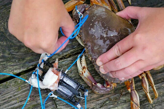 Learn to Catch and Cook Crab under Golden Gate Bridge SF - The Sum Up