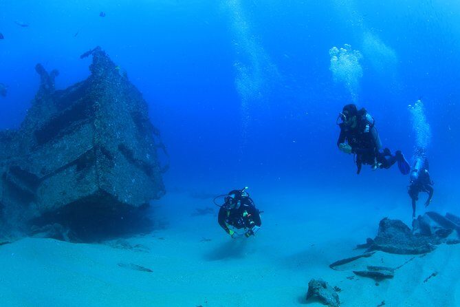 Learn to Scuba Dive in Cabo San Lucas with PADI - Key Points
