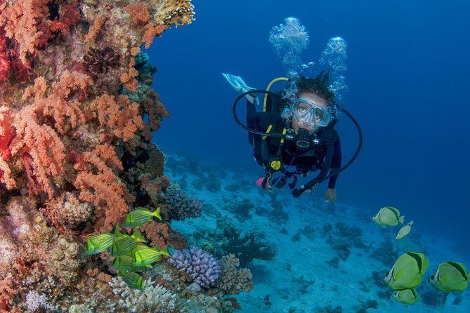 Learn to Scuba Dive in Cabo San Lucas with PADI - What’s Included and What’s Not