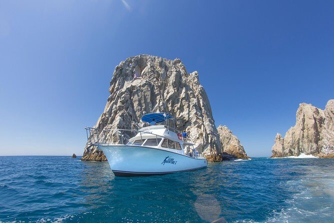 Learn to Scuba Dive in Cabo San Lucas with PADI - Practical Details & Tips