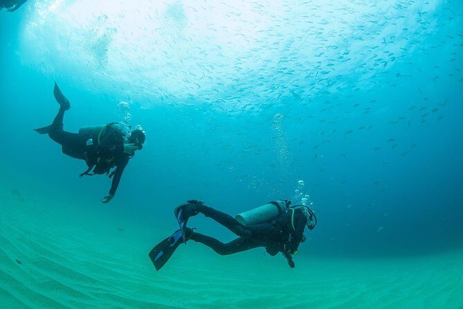 Learn to Scuba Dive in Cabo San Lucas with PADI - FAQ