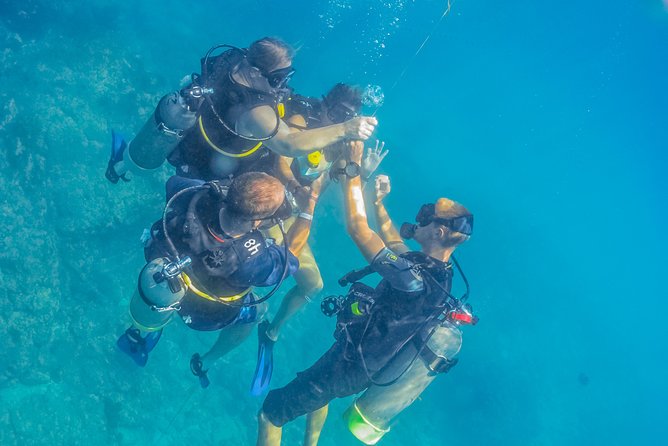 Learn to Scuba Dive in Cabo San Lucas With PADI - Dive Site and Marine Life