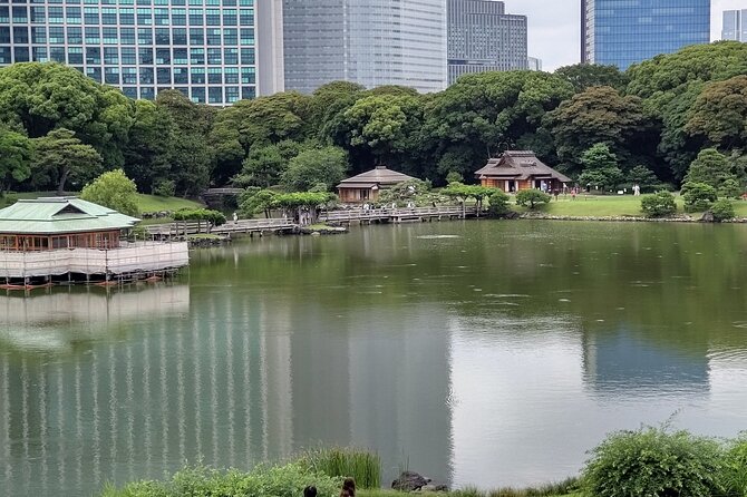 Learnig History of Tokyo in Depth With a Certified Tour Guide - Health and Accessibility Considerations