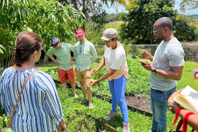 Learning about Medicinal Plants of Puerto Rico - Key Points