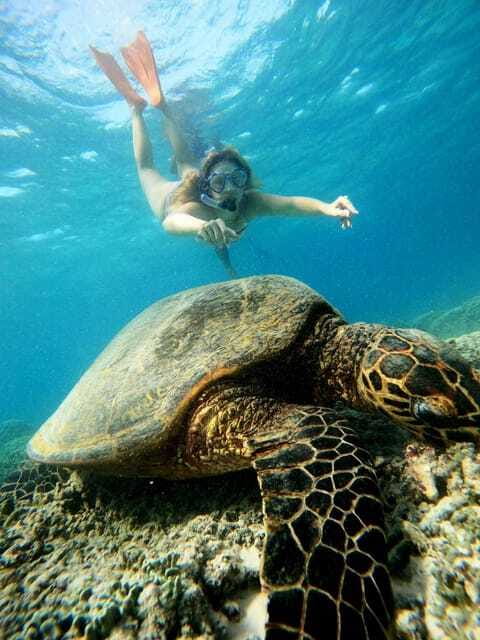 Leaves From Lombok, Full Day Explore 3 Gilis And Snorkeling - FAQ