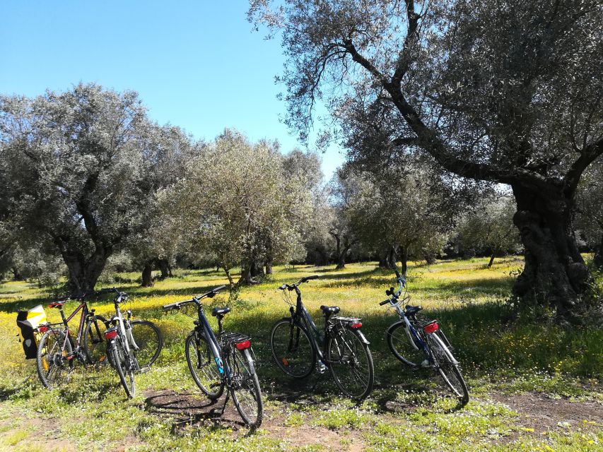 Lecce: Bike Rental (City, Trekking, E-Bikes) - Safety Equipment Included