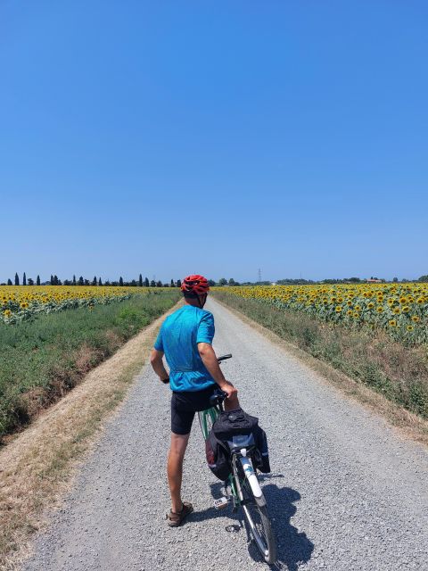 Lecce: E-Bike Tour to Galatina With Olive Mill & Wine Tasting - Indulge in Leccese Delicacies