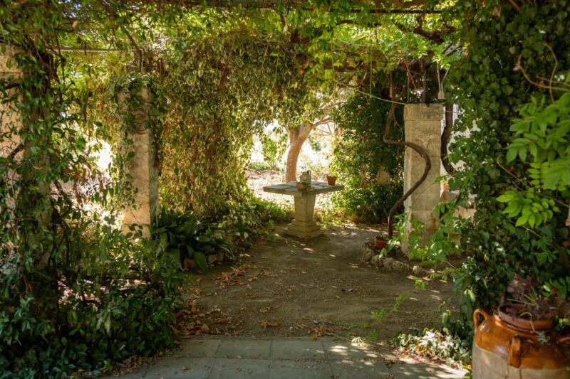 Lecce: Golden Vine Escape - Sunset Picnic & Wine Tasting - Final Thoughts