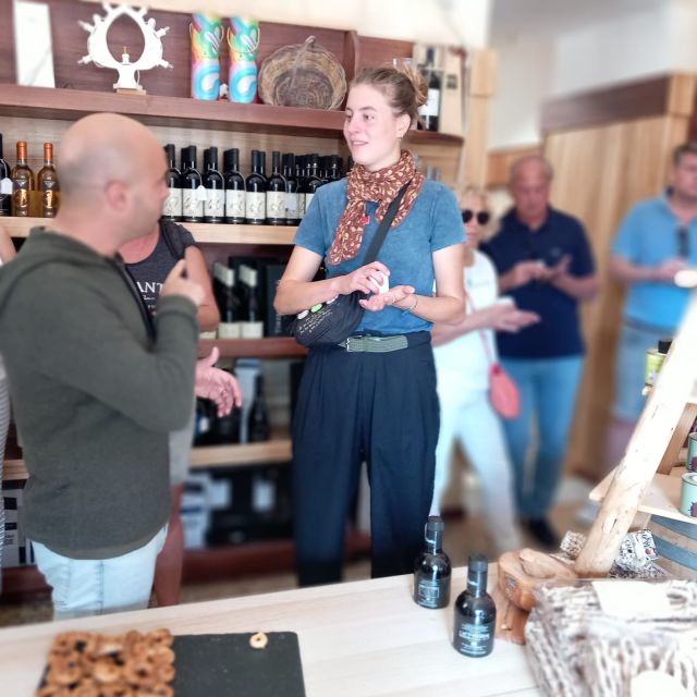 Lecce: Guided Wine Tour by Bike With Wine Tasting - Inclusions and Group Information