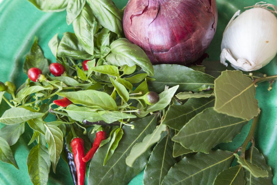 Lecce: Private Cooking Class at a Locals Home - Local Recipes Tasting