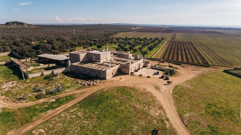 Lecce: Taranto and Manduria Winery Tour with Wine Tasting - Exploring Tarantos Historic Center