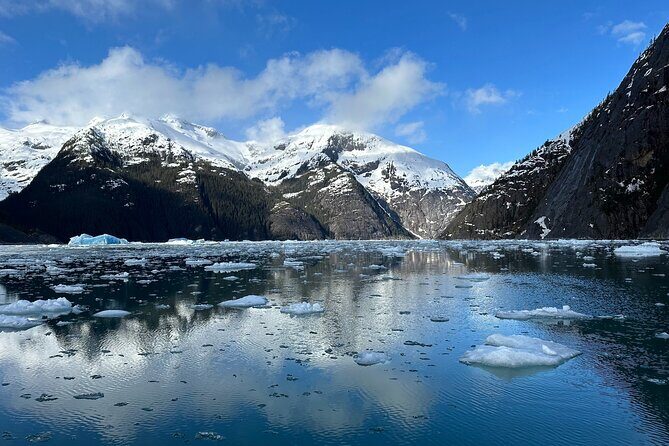 LeConte Glacier Tour and Norwegian Town Exploration - An In-Depth Look at the Tour Experience