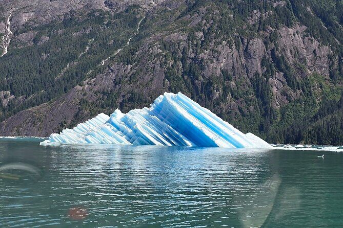 LeConte Glacier Tour and Norwegian Town Exploration - FAQ
