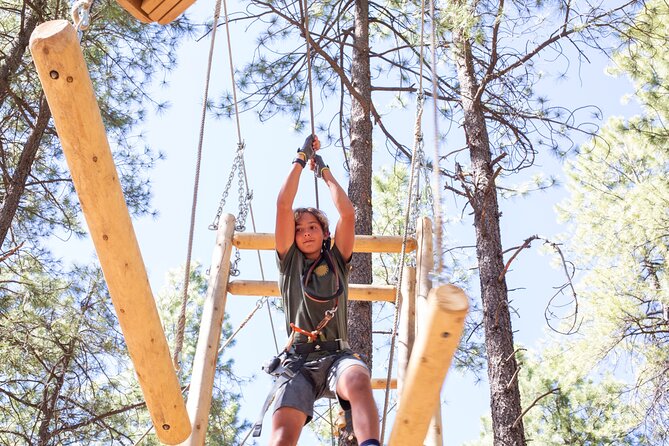 Ledgewood Adventure Course - Key Points