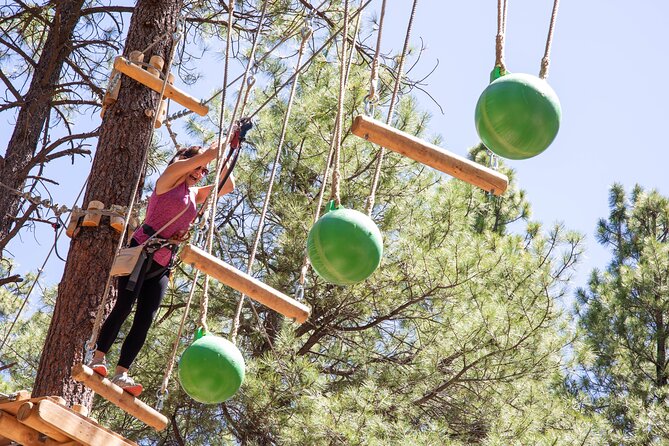 Ledgewood Adventure Course - What to Expect