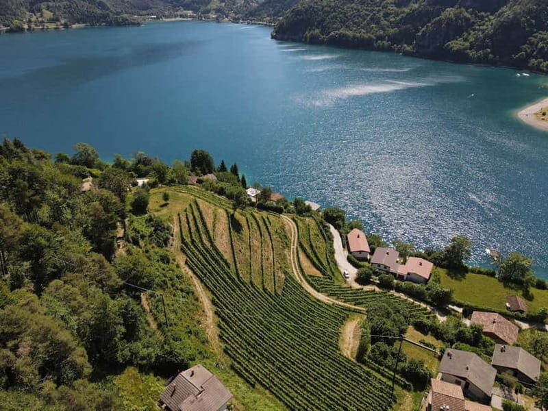 Ledro Lake: Guided Tour & Wine Tasting Among the Vines - Final Thoughts: Is This Tour Worth It?