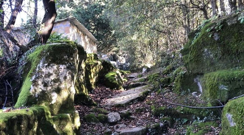 Lefkada: Path of Springs Hike with Olive Oil Tasting - Introduction