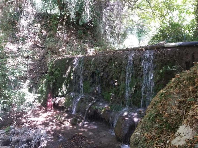 Lefkada: Path of Springs Hike with Olive Oil Tasting - Practical Details and Value