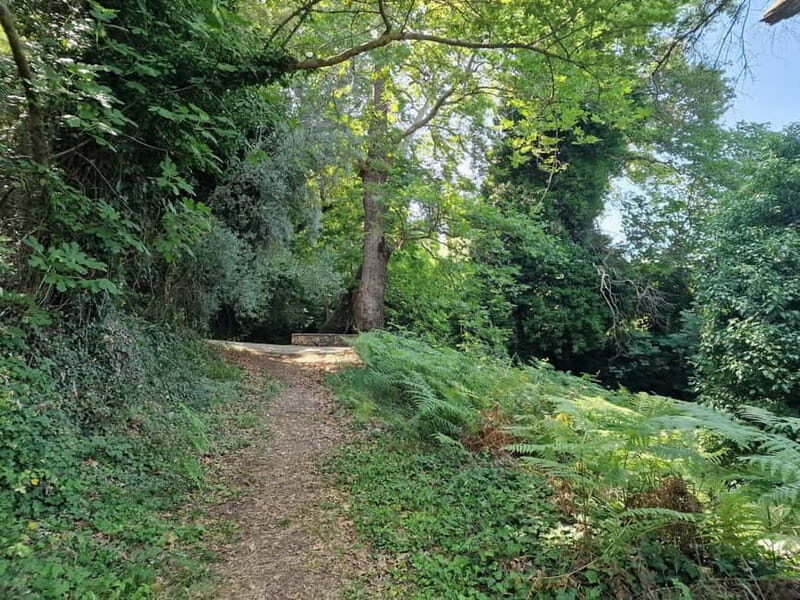 Lefkada: Path of Springs Hike with Olive Oil Tasting - Who Is This Tour Best For?