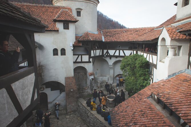 Legends&Wildlife Awaits: Draculas Castle & Bear Sanctuary - Exploring Draculas Castle