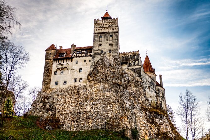 Legends&Wildlife Awaits: Draculas Castle & Bear Sanctuary - Discovering the Bear Sanctuary