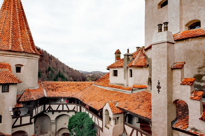 Legends&Wildlife Awaits: Draculas Castle & Bear Sanctuary - Pricing and Booking Details