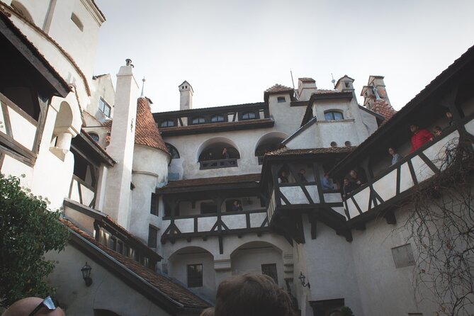 Legends&Wildlife Awaits: Draculas Castle & Bear Sanctuary - Traveler Feedback and Experiences