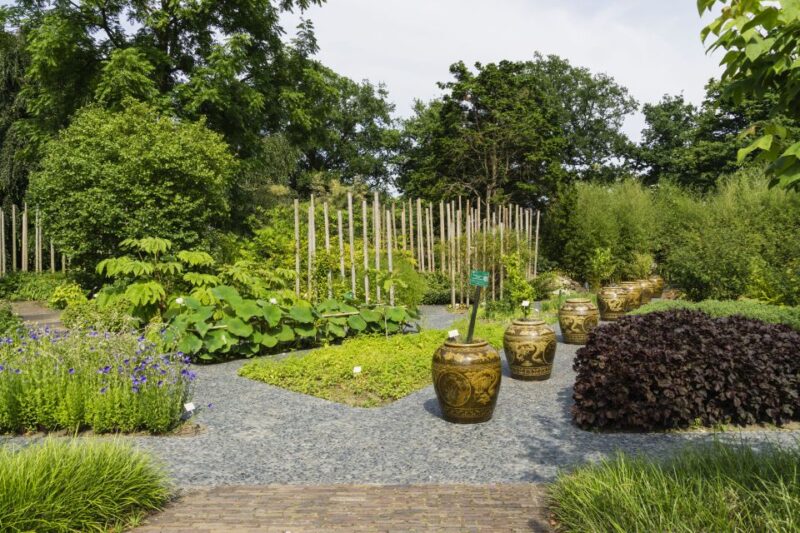 Leiden: Hortus Botanicus Entry Ticket - Seasonal Highlights
