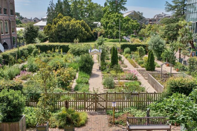 Leiden: Hortus Botanicus Entry Ticket - Customer Reviews