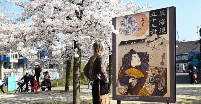 Leiden: Museum of World Cultures - Tips for Visitors