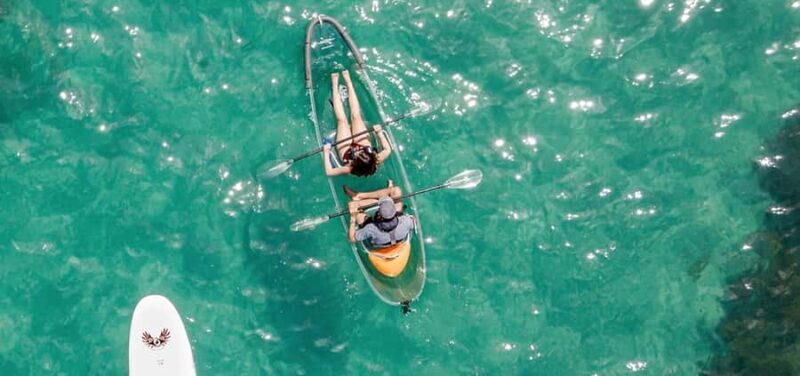 Leigh: Goat Island Clear Kayak Rental - Key Points