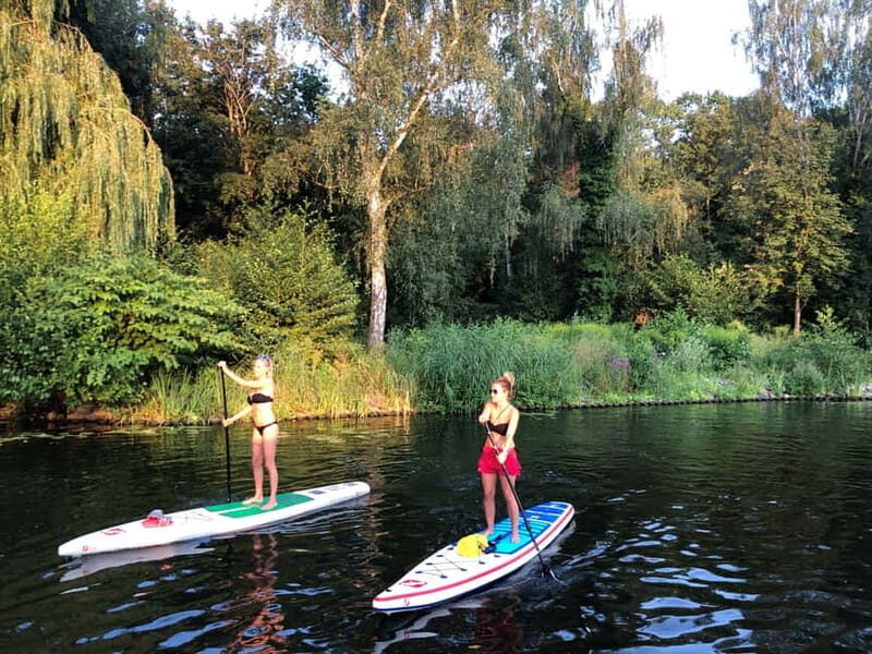 Leipzig: Cospudener Lake Stand-Up Paddleboard Course - What Is the Cospudener Lake SUP Course All About?