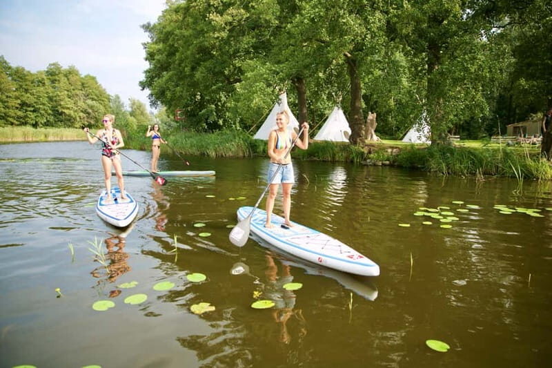 Leipzig: Cospudener Lake Stand-Up Paddleboard Course - The Experience Itself — What Will You Actually Do?
