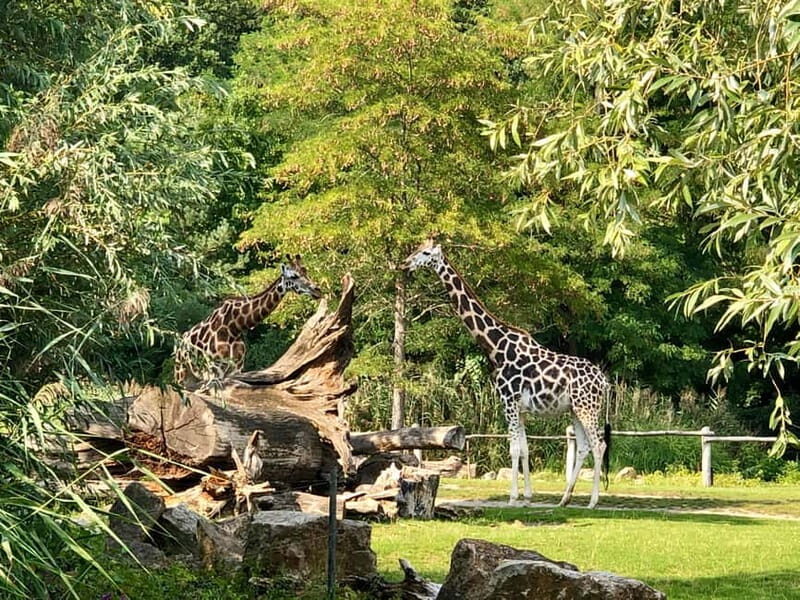 Leipzig: Segway Tour - Explore City, Zoo & a Stunning View - Key Points