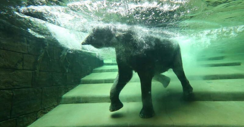 Leipzig Zoo: Entry Ticket - Key Points