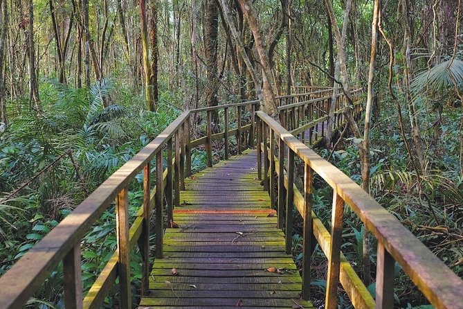 Lekki Conservation Center Extraordinary Tour - Centers Facilities and Activities