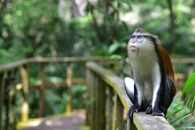 Lekki Conservation Center Extraordinary Tour - Frequently Asked Questions