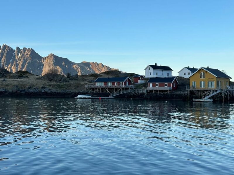 Leknes: 4 Hours Private Exclusive Boat Sightseeing - Boat Features and Amenities