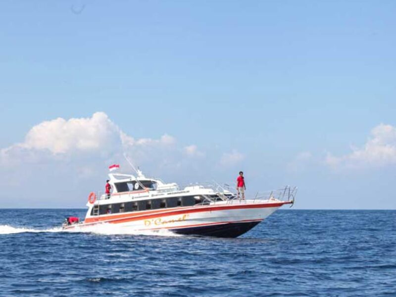 Lembongan : Fully Enjoy! Snorkeling, Sightseeing /1day Tour - Scenic Views and Attractions
